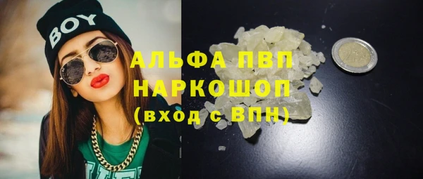 крисы Алексин