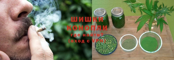 PSILOCYBIN Покачи
