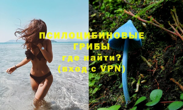 МДМА Алексеевка
