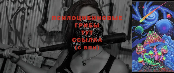 крисы Алексин